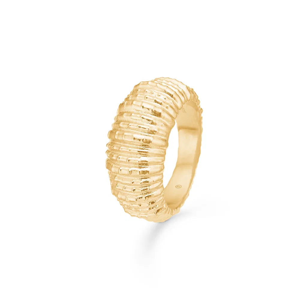 Studio Z, Forgyldt ring Seashell secrets